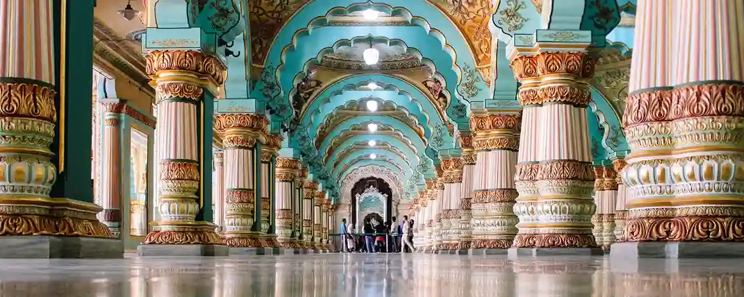 India's Tigers and Nature Trail-1